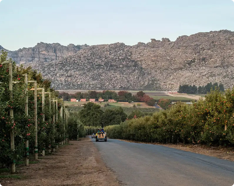 Open Road